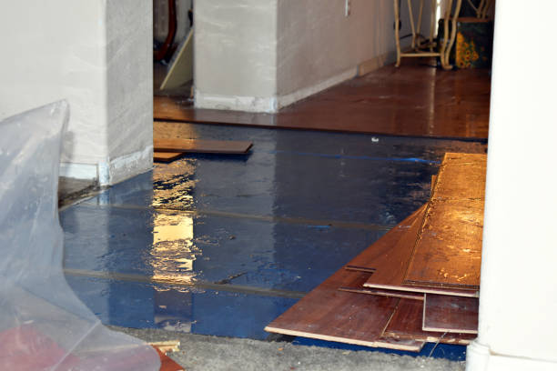 Professional Basement Flood Cleanup technician working in Viroqua, WI